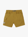 Helly Hansen HH Quick-dry Cargo Shorts Lynx