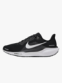 Nike Pegasus 41 Black / Anthracite