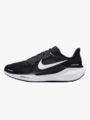 Nike Pegasus 41 Svart / Anthracite / Hvit