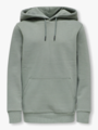 Only & Sons Jr Ceres Hoodie Sweat Castor Gray