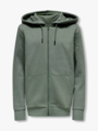 Only & Sons Jr Ceres Zip Hoodie Sweat Castor Gray