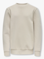 Only & Sons Jr Ceres Crew Neck Sweat Silver Lining