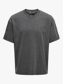 Only & Sons Aarav Life Short Sleeve Tee Grå